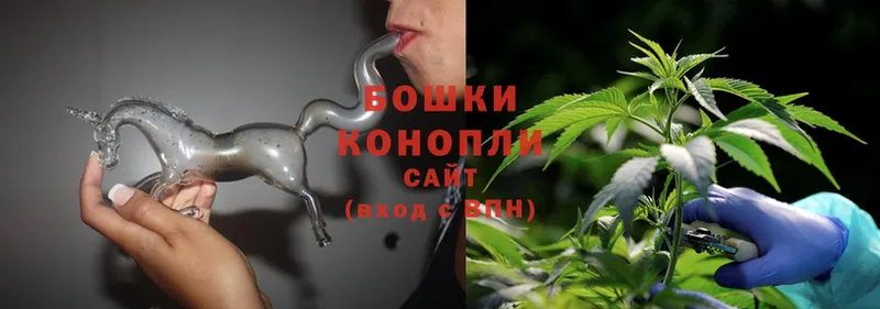 Бошки Шишки SATIVA & INDICA  купить наркотик  Сергач 